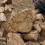 Большие пеньки Пало Санто (Palo Santo Logs)