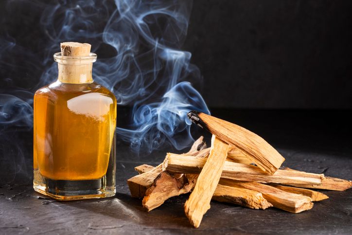 Как изготавливают эфирное масло Пало Санто (bursera graveolen wood oil)